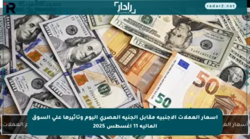 أسعار العملات الأجنبية مقابل الجنيه المصري اليوم وتأثيرها على السوق المالية 11 أغسطس 2025